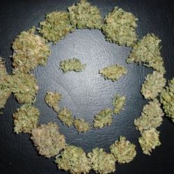 Планета Шишек